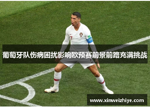 葡萄牙队伤病困扰影响欧预赛前景前路充满挑战