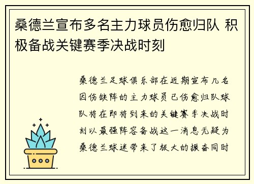 桑德兰宣布多名主力球员伤愈归队 积极备战关键赛季决战时刻