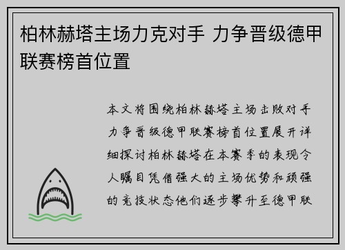 柏林赫塔主场力克对手 力争晋级德甲联赛榜首位置