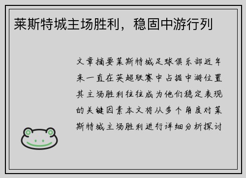 莱斯特城主场胜利,稳固中游行列